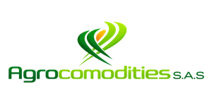 Logo aliado 1